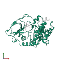 cAMP-dependent protein kinase catalytic subunit alpha in PDB entry 1stc, assembly 1, front view.