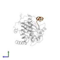 cAMP-dependent protein kinase inhibitor alpha in PDB entry 1stc, assembly 1, side view.