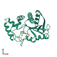 PDB entry 1sto coloured by chain, front view.