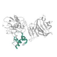 The deposited structure of PDB entry 1su3 contains 2 copies of SCOP domain 63427 (MMP N-terminal domain) in Interstitial collagenase. Showing 1 copy in chain B.