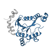 The deposited structure of PDB entry 1sur contains 1 copy of Pfam domain PF01507 (Phosphoadenosine phosphosulfate reductase family) in Phosphoadenosine 5'-phosphosulfate reductase. Showing 1 copy in chain A.