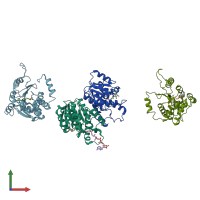 PDB entry 1sus coloured by chain, front view.