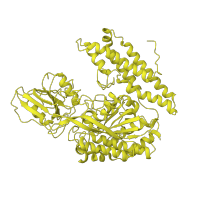 The deposited structure of PDB entry 1suv contains 2 copies of SCOP domain 103688 (Transferrin receptor-transferrin complex) in Transferrin receptor protein 1, serum form. Showing 1 copy in chain A.