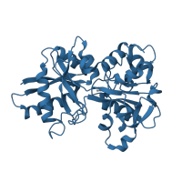 The deposited structure of PDB entry 1suv contains 2 copies of SCOP domain 103688 (Transferrin receptor-transferrin complex) in Serotransferrin. Showing 1 copy in chain C.