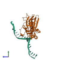 PDB entry 1svc coloured by chain, side view.