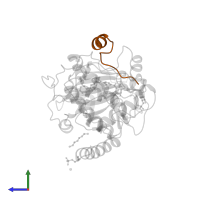 cAMP-dependent protein kinase inhibitor alpha in PDB entry 1sve, assembly 1, side view.