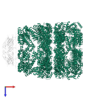 Chaperonin GroEL in PDB entry 1svt, assembly 1, top view.