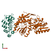 PDB entry 1svx coloured by chain, front view.