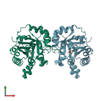 PDB entry 1sw7 coloured by chain, front view.