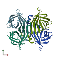 3D model of 1swd from PDBe