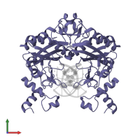 Type II restriction enzyme EcoRV in PDB entry 1sx5, assembly 1, front view.