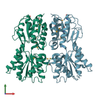 PDB entry 1sxh coloured by chain, front view.