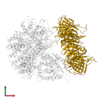 Proliferating cell nuclear antigen in PDB entry 1sxj, assembly 1, front view.