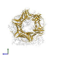 Proliferating cell nuclear antigen in PDB entry 1sxj, assembly 1, side view.