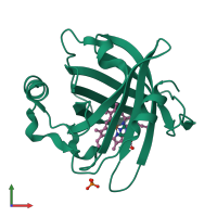 PDB entry 1sy1 coloured by chain, front view.