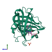 PDB entry 1sy1 coloured by chain, side view.