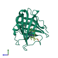 PDB entry 1sy2 coloured by chain, side view.