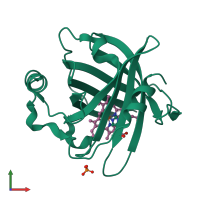 PDB entry 1sy3 coloured by chain, front view.