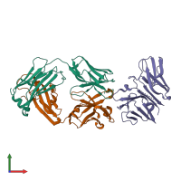 PDB entry 1sy6 coloured by chain, front view.