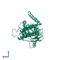 Monomeric assembly 1 of PDB entry 1syk coloured by chemically distinct molecules, side view.