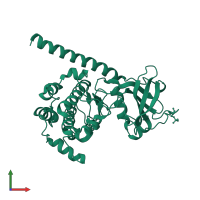 cAMP-dependent protein kinase catalytic subunit alpha in PDB entry 1syk, assembly 1, front view.