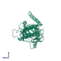 cAMP-dependent protein kinase catalytic subunit alpha in PDB entry 1syk, assembly 1, side view.