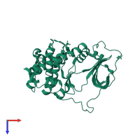 cAMP-dependent protein kinase catalytic subunit alpha in PDB entry 1syk, assembly 1, top view.