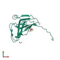 PDB entry 1syl coloured by chain, front view.