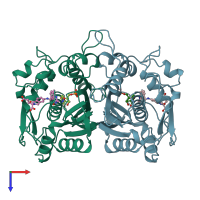 PDB entry 1syn coloured by chain, top view.