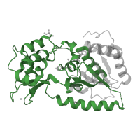 The deposited structure of PDB entry 1szd contains 1 copy of Pfam domain PF02146 (Sir2 family) in NAD-dependent protein deacetylase HST2. Showing 1 copy in chain A.