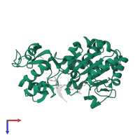 NAD-dependent protein deacetylase HST2 in PDB entry 1szd, assembly 1, top view.