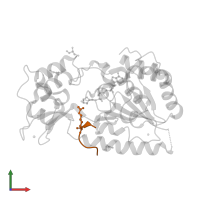 Histone H4 in PDB entry 1szd, assembly 1, front view.