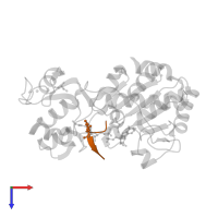 Histone H4 in PDB entry 1szd, assembly 1, top view.