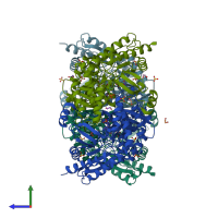 PDB entry 1szk coloured by chain, side view.