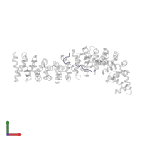 Adenomatous polyposis coli protein in PDB entry 1t08, assembly 1, front view.