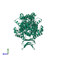 Isocitrate dehydrogenase [NADP] cytoplasmic in PDB entry 1t09, assembly 1, side view.