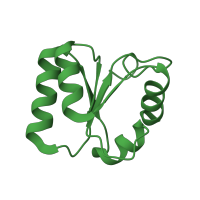 The deposited structure of PDB entry 1t0k contains 1 copy of SCOP domain 55316 (L30e/L7ae ribosomal proteins) in Large ribosomal subunit protein eL30. Showing 1 copy in chain D [auth B].