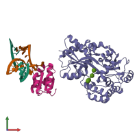 PDB entry 1t0k coloured by chain, front view.