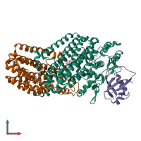 PDB entry 1t0r coloured by chain, front view.