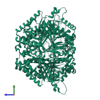 Coproheme decarboxylase in PDB entry 1t0t, assembly 1, side view.