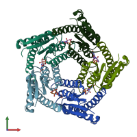 PDB entry 1t13 coloured by chain, front view.