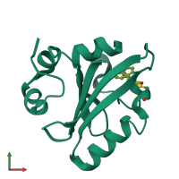 PDB entry 1t1b coloured by chain, ensemble of 2 models, front view.