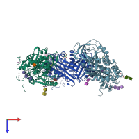 PDB entry 1t1f coloured by chain, top view.