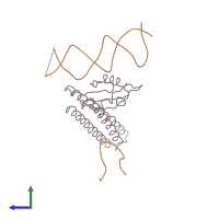 PDB entry 1t1m coloured by chain, side view.