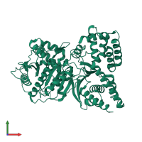 PDB entry 1t1u coloured by chain, front view.