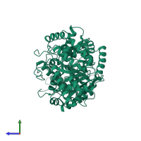 Choline O-acetyltransferase in PDB entry 1t1u, assembly 1, side view.