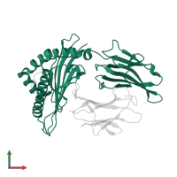 HLA class I histocompatibility antigen, A alpha chain in PDB entry 1t22, assembly 1, front view.