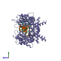 Hetero tetrameric assembly 1 of PDB entry 1t3n coloured by chemically distinct molecules, side view.