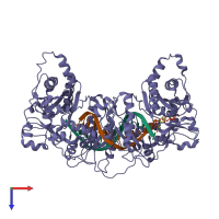Hetero tetrameric assembly 1 of PDB entry 1t3n coloured by chemically distinct molecules, top view.