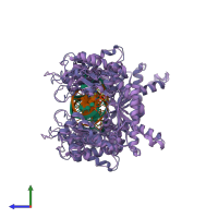 PDB entry 1t3n coloured by chain, ensemble of 2 models, side view.